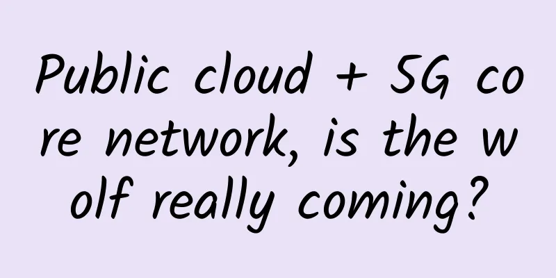 Public cloud + 5G core network, is the wolf really coming?
