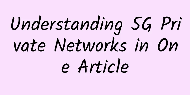 Understanding 5G Private Networks in One Article