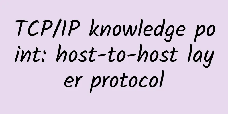 TCP/IP knowledge point: host-to-host layer protocol