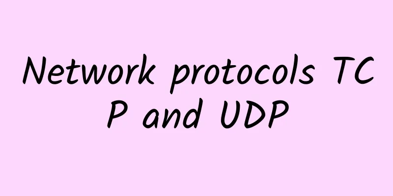 Network protocols TCP and UDP
