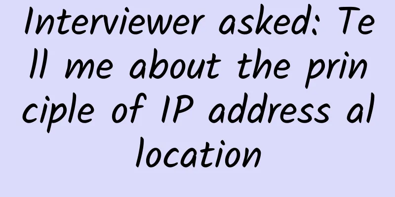 Interviewer asked: Tell me about the principle of IP address allocation