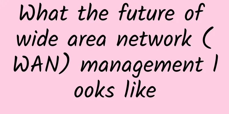 What the future of wide area network (WAN) management looks like