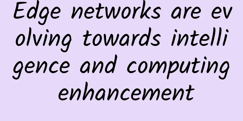 Edge networks are evolving towards intelligence and computing enhancement