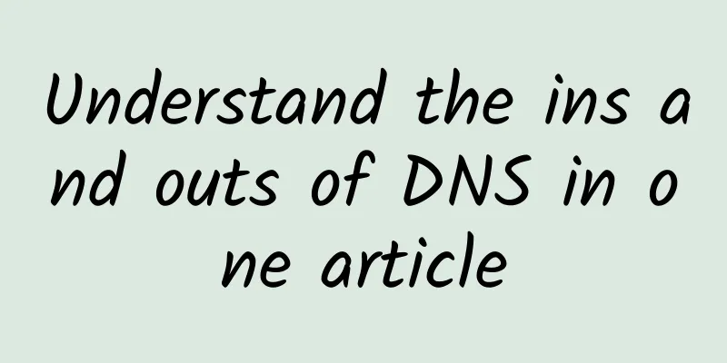 Understand the ins and outs of DNS in one article