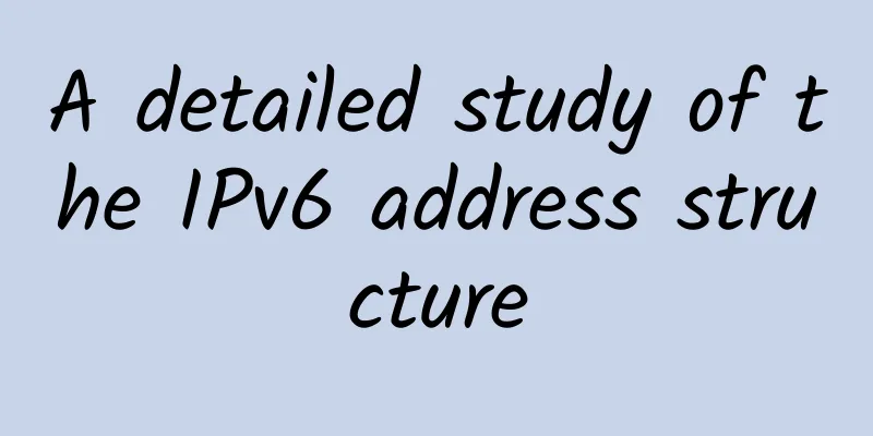 A detailed study of the IPv6 address structure
