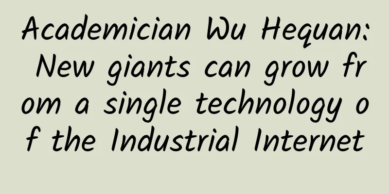 Academician Wu Hequan: New giants can grow from a single technology of the Industrial Internet