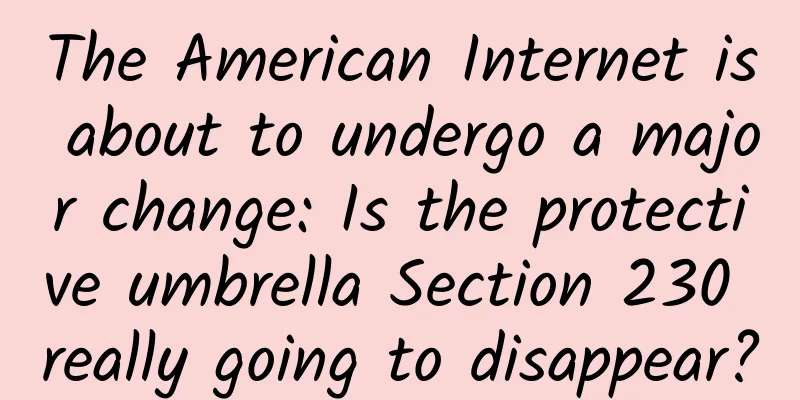 The American Internet is about to undergo a major change: Is the protective umbrella Section 230 really going to disappear?