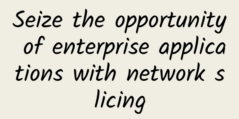 Seize the opportunity of enterprise applications with network slicing