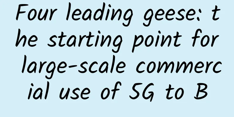Four leading geese: the starting point for large-scale commercial use of 5G to B