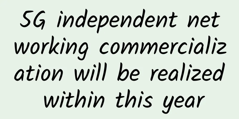 5G independent networking commercialization will be realized within this year