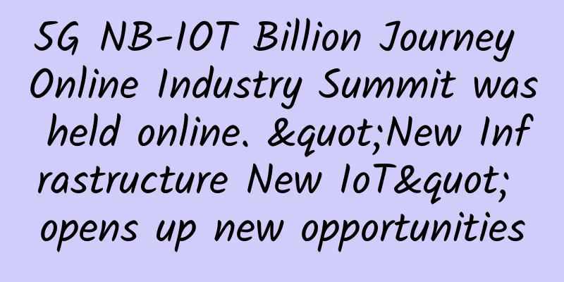 5G NB-IOT Billion Journey Online Industry Summit was held online. "New Infrastructure New IoT" opens up new opportunities