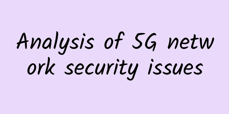 Analysis of 5G network security issues