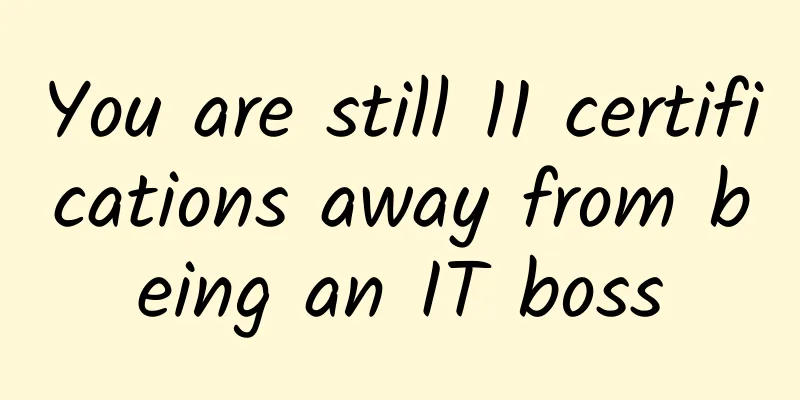You are still 11 certifications away from being an IT boss