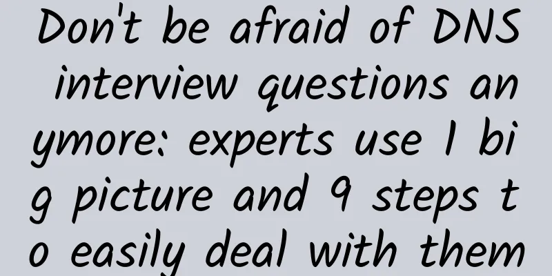 Don't be afraid of DNS interview questions anymore: experts use 1 big picture and 9 steps to easily deal with them