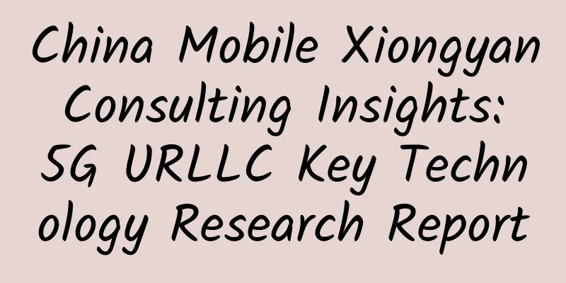 China Mobile Xiongyan Consulting Insights: 5G URLLC Key Technology Research Report