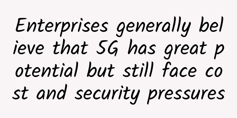 Enterprises generally believe that 5G has great potential but still face cost and security pressures