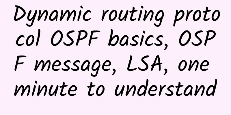 Dynamic routing protocol OSPF basics, OSPF message, LSA, one minute to understand
