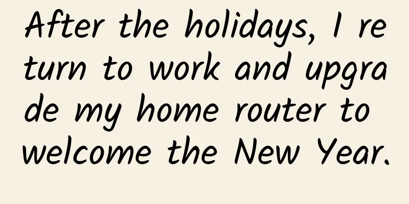 After the holidays, I return to work and upgrade my home router to welcome the New Year.