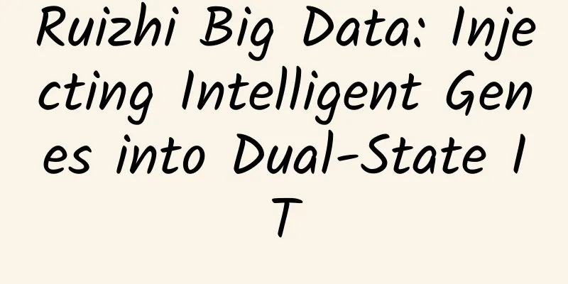Ruizhi Big Data: Injecting Intelligent Genes into Dual-State IT