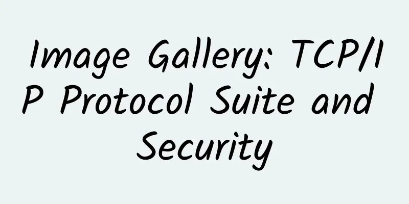 Image Gallery: TCP/IP Protocol Suite and Security