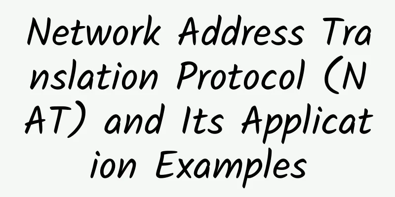 Network Address Translation Protocol (NAT) and Its Application Examples