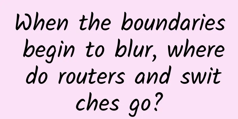 When the boundaries begin to blur, where do routers and switches go?