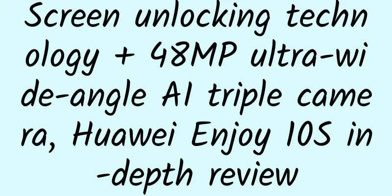 Screen unlocking technology + 48MP ultra-wide-angle AI triple camera, Huawei Enjoy 10S in-depth review