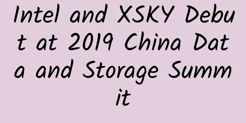 Intel and XSKY Debut at 2019 China Data and Storage Summit