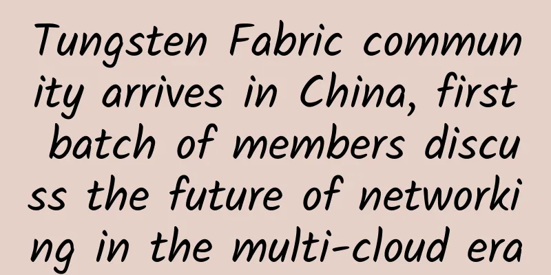Tungsten Fabric community arrives in China, first batch of members discuss the future of networking in the multi-cloud era