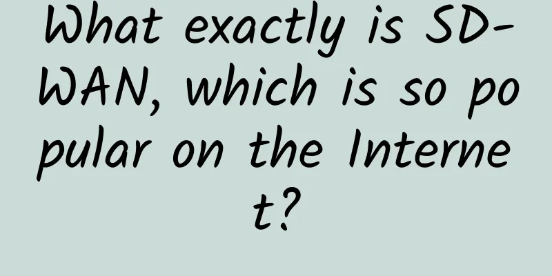 What exactly is SD-WAN, which is so popular on the Internet?
