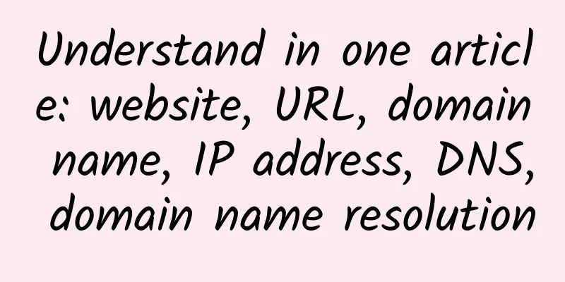 Understand in one article: website, URL, domain name, IP address, DNS, domain name resolution
