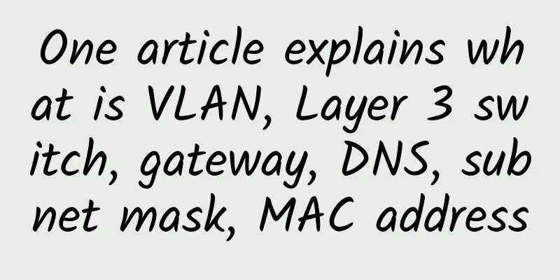 One article explains what is VLAN, Layer 3 switch, gateway, DNS, subnet mask, MAC address