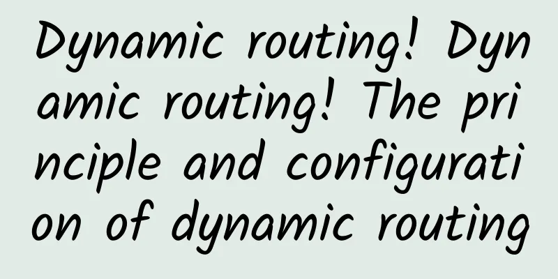 Dynamic routing! Dynamic routing! The principle and configuration of dynamic routing
