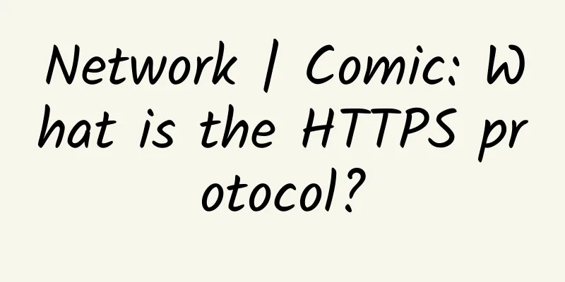Network | Comic: What is the HTTPS protocol?
