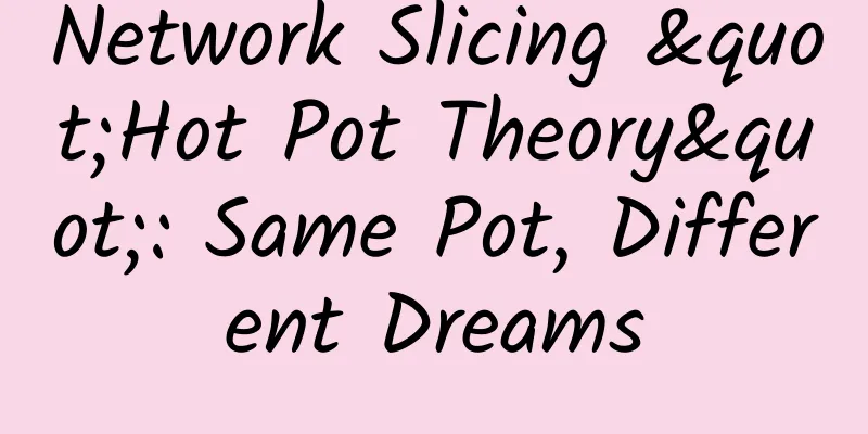 Network Slicing "Hot Pot Theory": Same Pot, Different Dreams