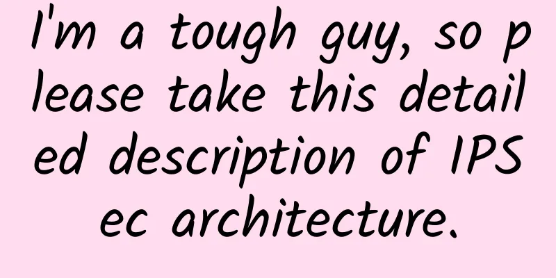 I'm a tough guy, so please take this detailed description of IPSec architecture.