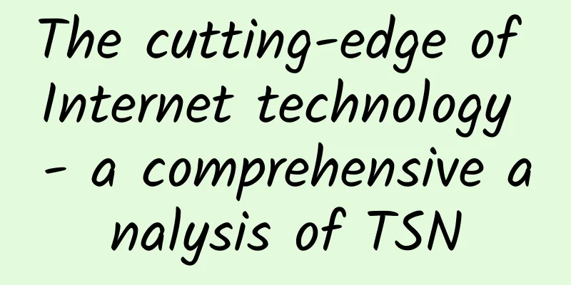 The cutting-edge of Internet technology - a comprehensive analysis of TSN