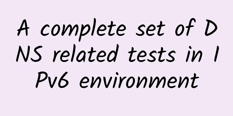 A complete set of DNS related tests in IPv6 environment