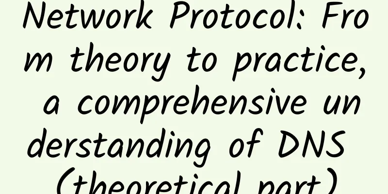 Network Protocol: From theory to practice, a comprehensive understanding of DNS (theoretical part)