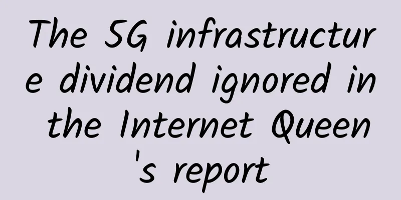 The 5G infrastructure dividend ignored in the Internet Queen's report