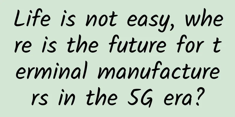Life is not easy, where is the future for terminal manufacturers in the 5G era?