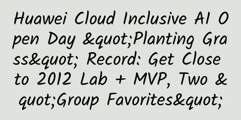 Huawei Cloud Inclusive AI Open Day "Planting Grass" Record: Get Close to 2012 Lab + MVP, Two "Group Favorites"