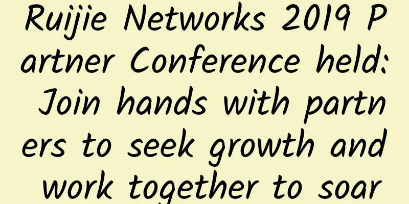 Ruijie Networks 2019 Partner Conference held: Join hands with partners to seek growth and work together to soar