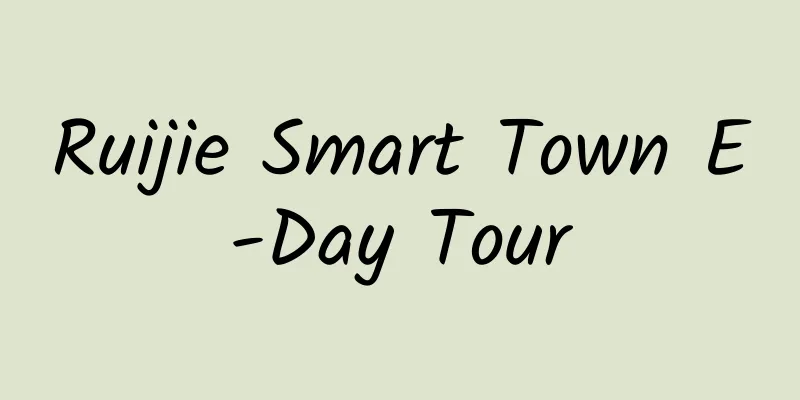 Ruijie Smart Town E-Day Tour