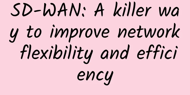 SD-WAN: A killer way to improve network flexibility and efficiency