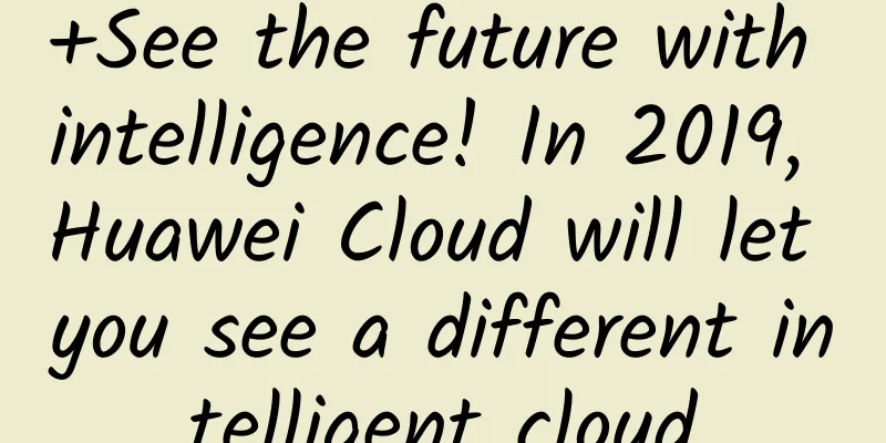 +See the future with intelligence! In 2019, Huawei Cloud will let you see a different intelligent cloud