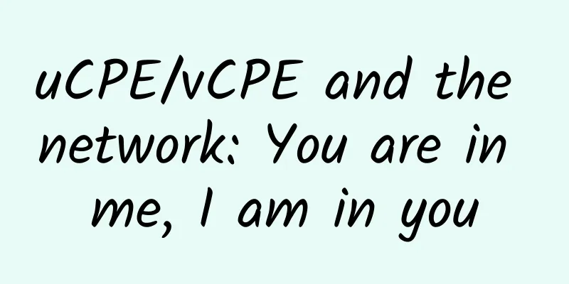 uCPE/vCPE and the network: You are in me, I am in you
