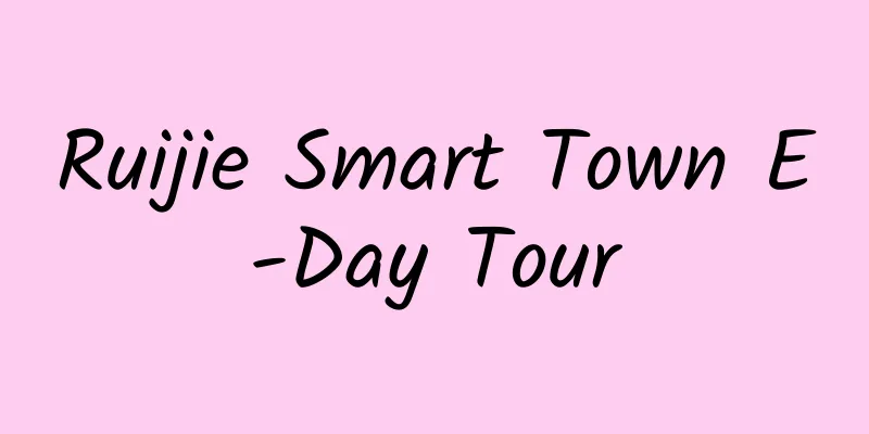 Ruijie Smart Town E-Day Tour
