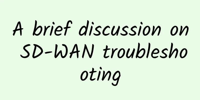 A brief discussion on SD-WAN troubleshooting