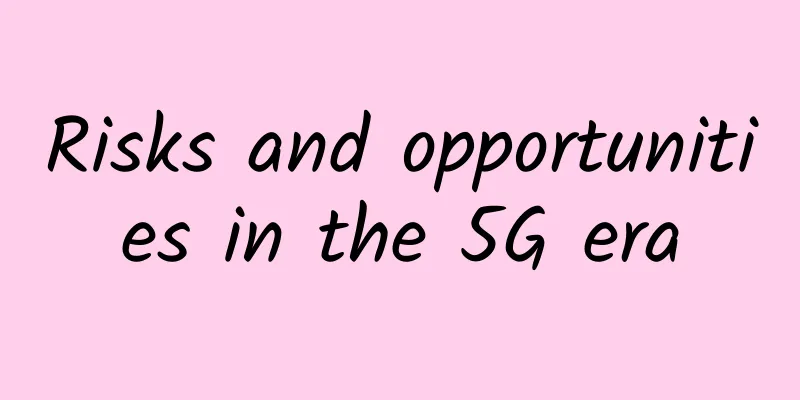 Risks and opportunities in the 5G era